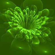 Beautiful flower on green background Computer generated graphic