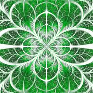 Symmetrical pattern of the leaves in green and white