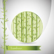 background with bamboo in circle and green ribbon