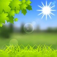 Spring and summer background