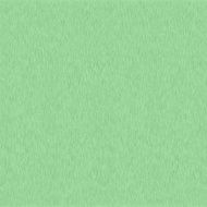 Paper texture background N19