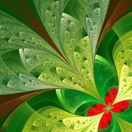 Beautiful fractal flower in green and red