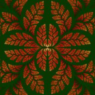 Fabulous symmetric pattern of the leaves in orange and green