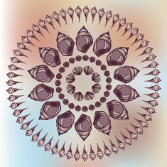 Mandala made of Seashells N2