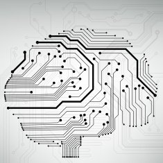 Circuit board computer brain Vector illustration N12