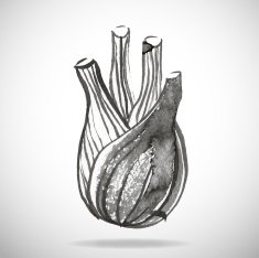 Black watercolor onion isolated on white N2
