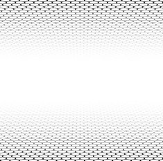 Perspective grid hexagonal surface N13