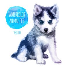 Vector Huskies hand painted watercolor illustration isolated on white background N2
