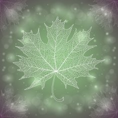 Maple Leaf N44