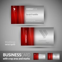 Business card template - elegant vector illustration N2