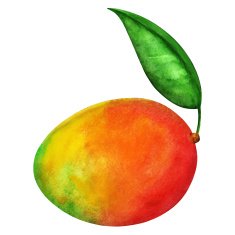 Watercolor mango fruit