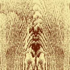 Wooden texture background N9