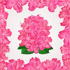 Seamless texture rhododendron in a frame vector