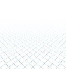 Perspective grid surface N8