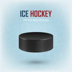 Black hockey puck on ice rink - vector background N2
