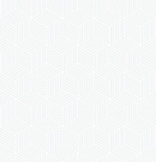 cube grid pattern of slim lines N2