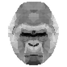 abstract monochrome gorilla portrait of circles isolated on white background N2