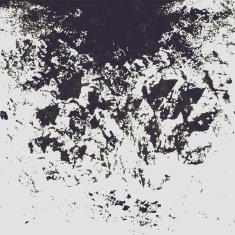 Vector grunge Background N8