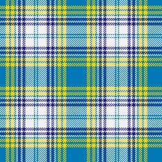 Tartan pattern N18