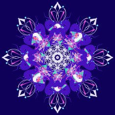 Mandala abstract ornament pattern N2