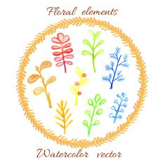 Watercolor floral element set