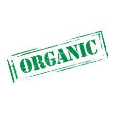 Green vector grunge stamp organic