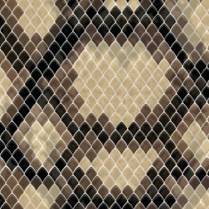 Snake skin N13