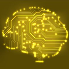 Circuit board computer brain Vector illustration N13