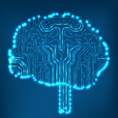 Circuit board computer brain Vector illustration N14