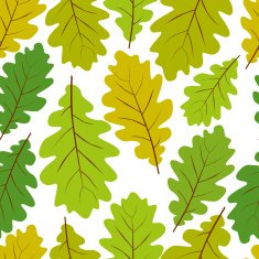 Oak leaves seamless pattern natural endless background
