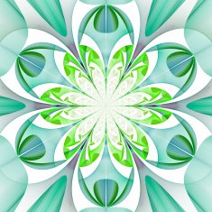 Fabulous symmetrical pattern of the leaves N9