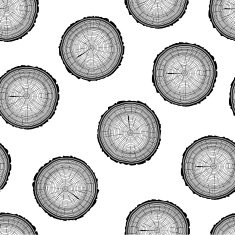 Tree rings saw cut tree trunk background N6