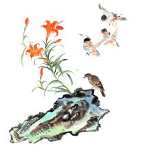 animal with stone N11