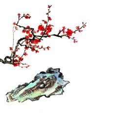 plum bloom and stone N6
