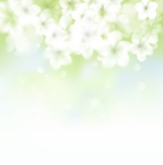 Abstract blur floral paint background vector illustration