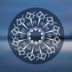 Mandala Sea background N3