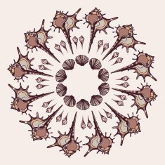 Mandala made of Seashells N6