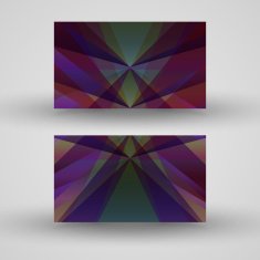 Vector business-card set for your design N431