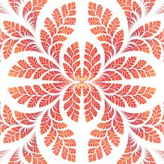 Fabulous symmetric pattern of the leaves in orange