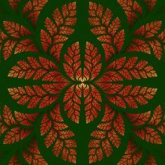Fabulous symmetric pattern of the leaves in orange and green