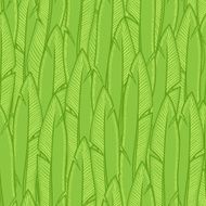green leaves N21