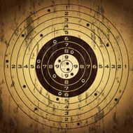 Target With Bullet Holes N2