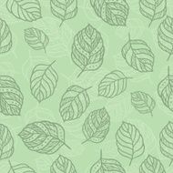 green leaves N22