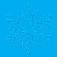 Snowflakes Vector illustration N4