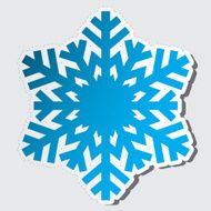 Snowflakes Vector illustration N5