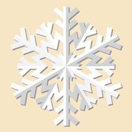 Snowflakes Vector illustration N6