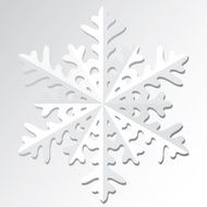Snowflakes Vector illustration N8