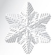 Snowflakes Vector illustration N11