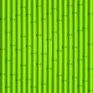 Bamboo Background N37