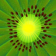 Kiwi N7